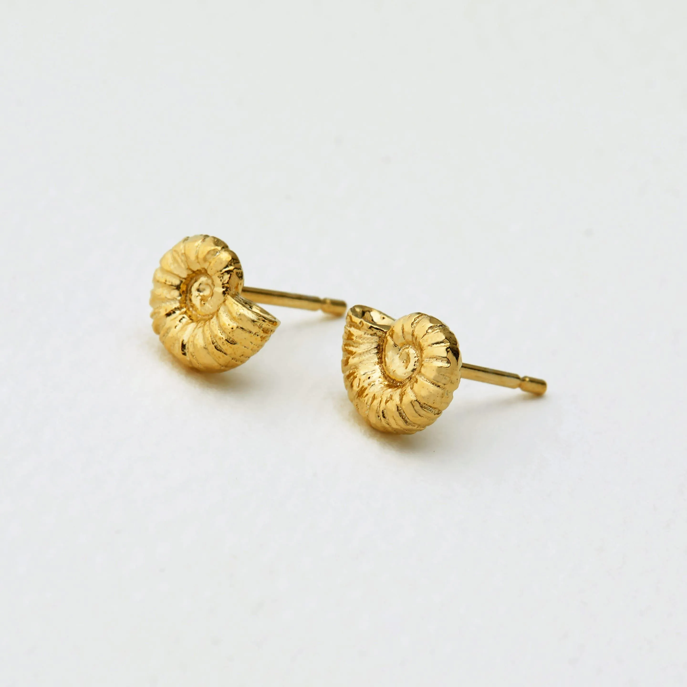 Alex Monroe Ammonite Shell Studs