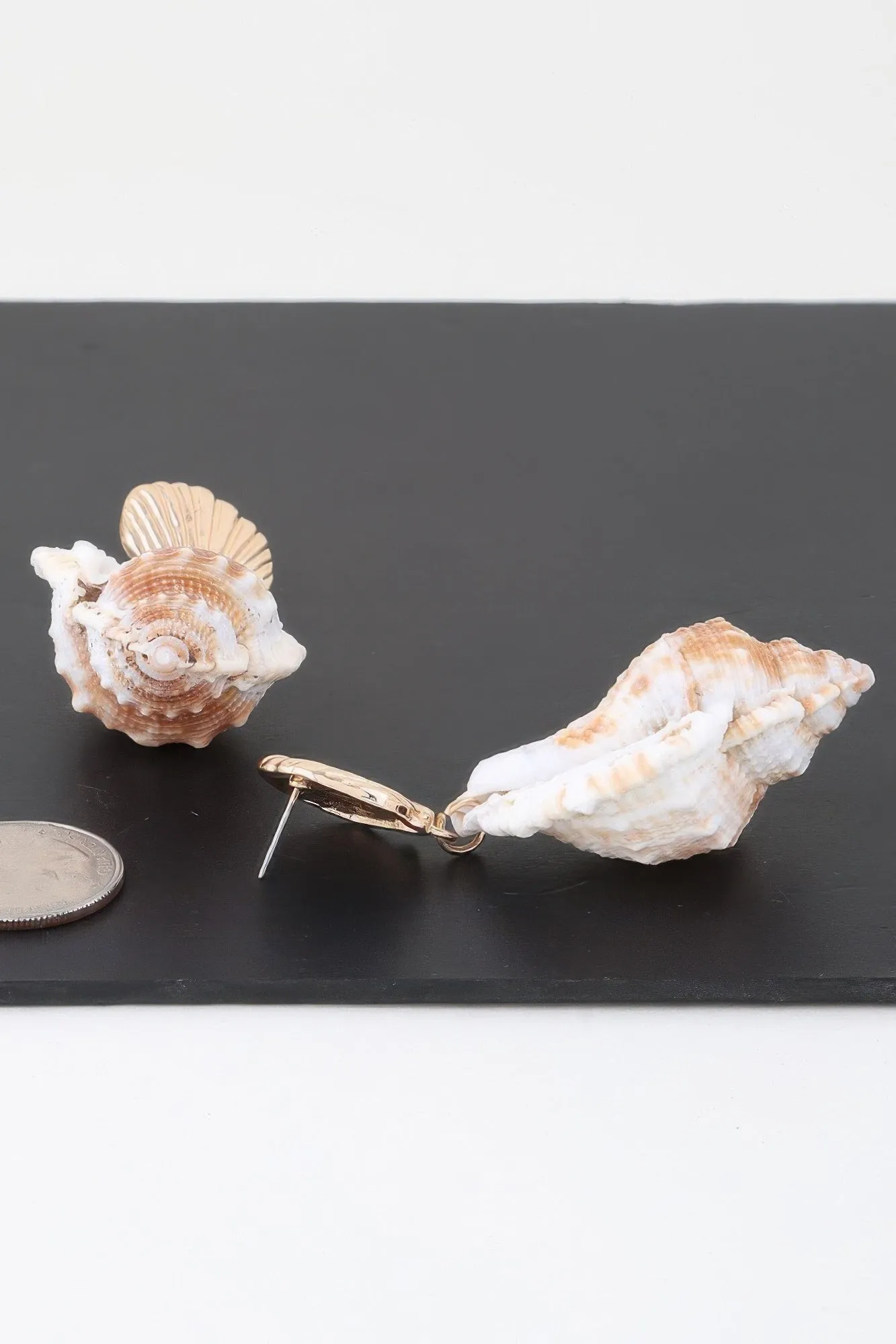 Profound Conch Shell Earrings